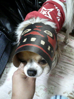 お、オレが鬼ぃ？＞小龍