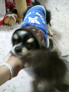 ボクも違うでしゅよ…＞天津