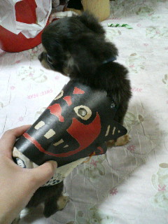 パパぁ～、たちゅけて～＞燕龍