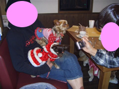 ももちゃん＆テンちゃん