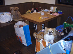 ママ～抱っこぉ～＞小龍