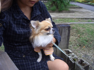 オレっちの特等席ぃ♪＜小龍