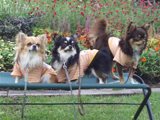 3王子…なかなか揃わな～いｗ