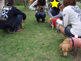 みんなで、ワイワイ