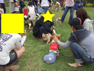 ワイワイその2♪