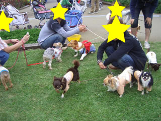 ワイワイその3♪