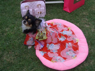 うさぎさん家の♪