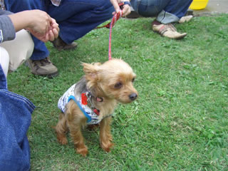 ももちゃんスイッチ…まだ(笑)