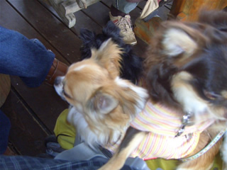 ヤンさま…近っ(笑)