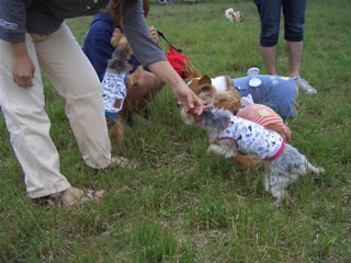 オヤツ大人気♪(笑)