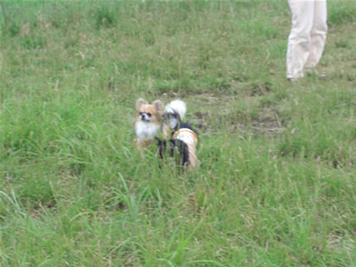 広いので、みんなノビノビｗ