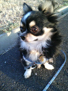 お友達いないでしゅね。。。＞天津