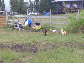 この後…小龍くんランから脱走(笑)