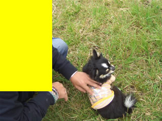 甘えん坊な天津くん♪パパなのにぃ(笑)