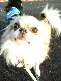 寒いけど歩いてるよっ♪＞小龍