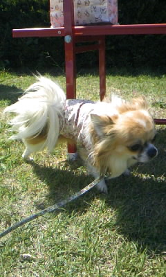 オレっちの場所♪