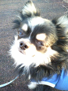 ショボショボ顔ｗ＜天津