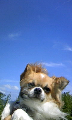 青い空にオレっちって絵になるぅ♪