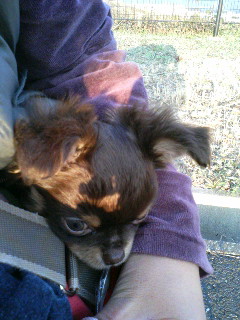 つまんないんでちゅ。。。＞燕龍