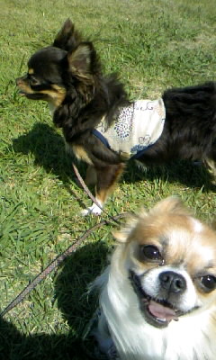 サイコーだよぉ♪＞小龍