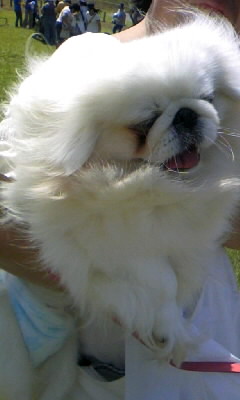 とまとちゃん♪