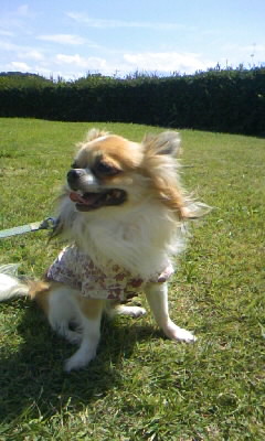 潮風が心地いいぜ～♪＞小龍