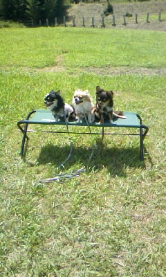 燕龍くん、ヤンチャぶり爆裂！！