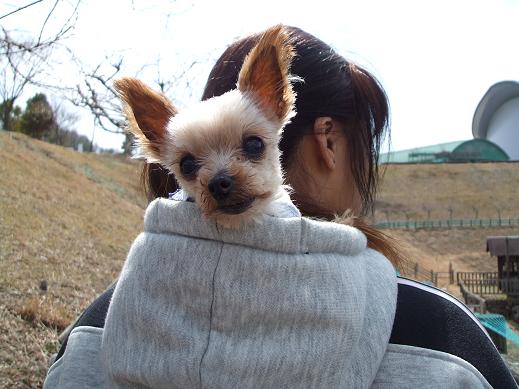 リン子さんとｍｏｍｏ