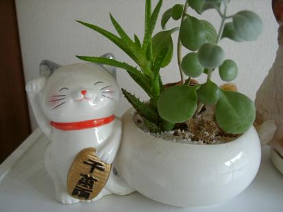 猫の植木鉢
