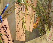 P1000102.JPG