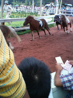 P1000254.JPG