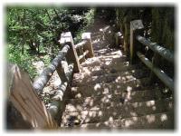 2006-01-10_グロット02