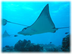 2006-01-12_イーグルレイシティ04