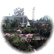 2007-07-14_バラ園