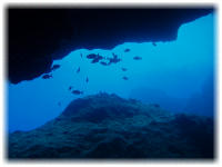 2006-01-10_グロット06