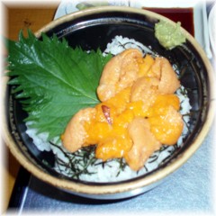 2008-06-22_ウニ丼.jpg
