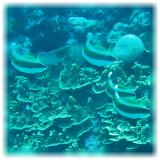 2006-01-11_ICECREAM04