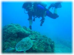 2006-01-13_ラウラウビーチ05