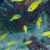 2006-01-10_オブジャンビーチ04