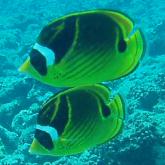 2006-01-10_オブジャンビーチ05