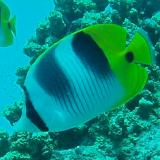 2006-01-10_オブジャンビーチ06