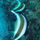 2006-01-10_オブジャンビーチ07