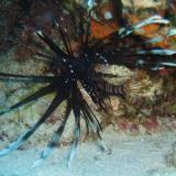 2006-01-10_オブジャンビーチ08