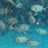 2006-01-10_オブジャンビーチ09