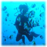 2006-01-12_ディンプル02