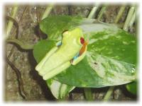 2005-07-26鳥羽水族館05