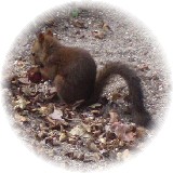 2006-09-17_紫竹ガーデン02