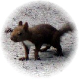 2006-09-17_紫竹ガーデン03