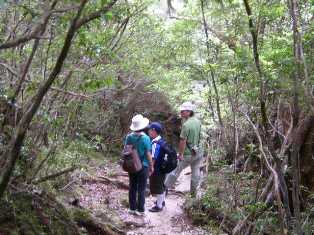 登山道２.jpg