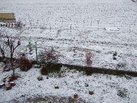 110214-2.jpg